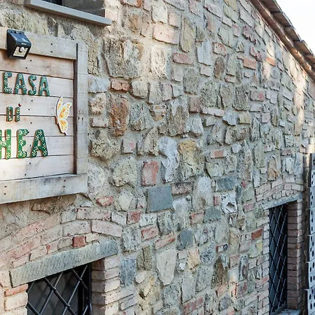 La Casa Di Thea - Flo إمبرونيتا