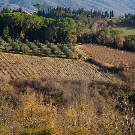 La Casa Di Thea - Flo
