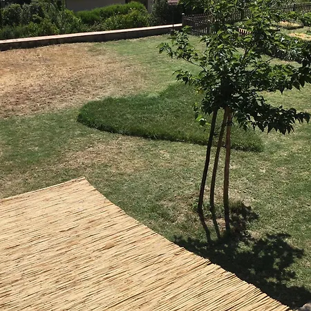 La Casa Di Thea - Flo Impruneta